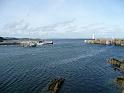 P1000547- Megavissey